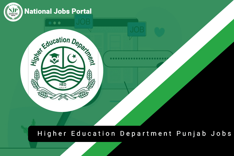 Higher Education Department Punjab Jobs
