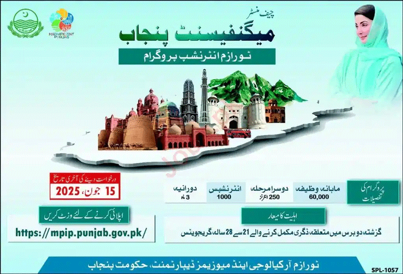CM Punjab Magnificent Tourism Internship Program 2025 Advertisement